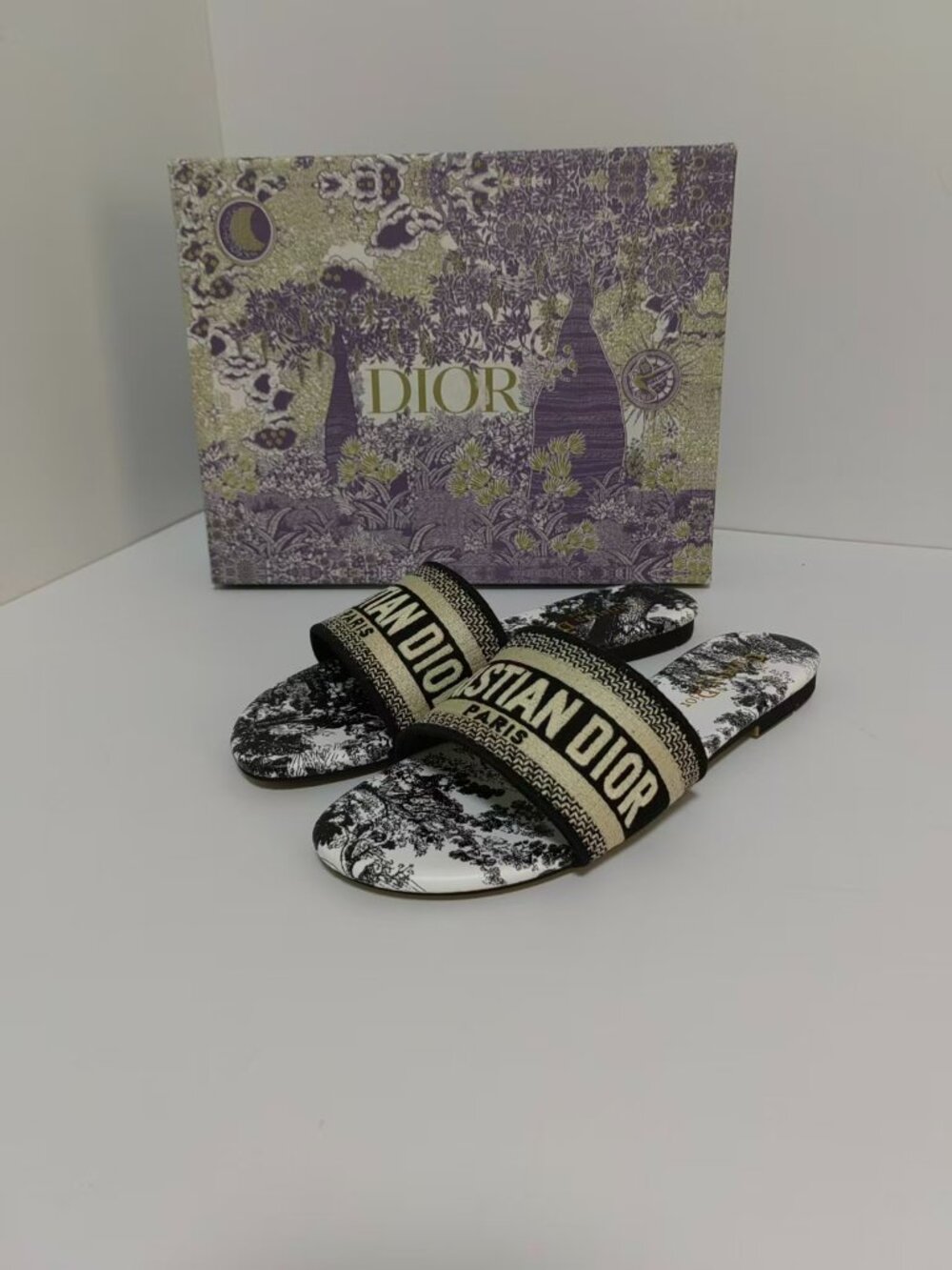 Dior Dway Slide Sandals